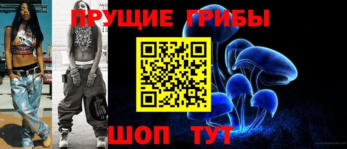 Строитель  закладка  Вход с VPN  Псилоцибиновые грибы MAGIC MUSHROOMS 