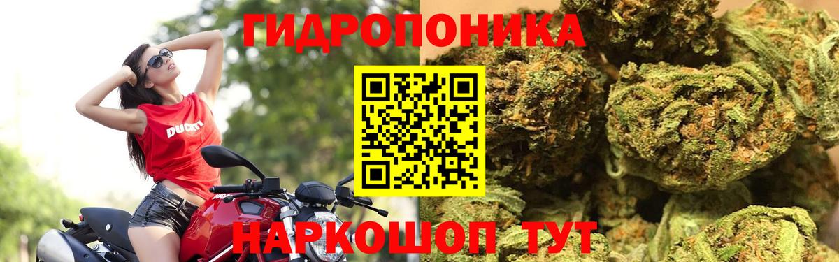Строитель  Каннабис THC 21%  Канабис THC 21%  Бошки Шишки сатива  Вход с VPN  Бошки марихуана OG Kush 